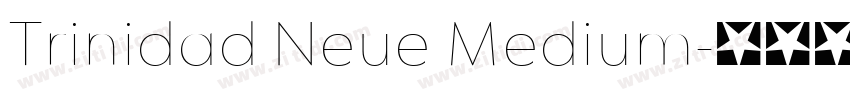 Trinidad Neue Medium字体转换